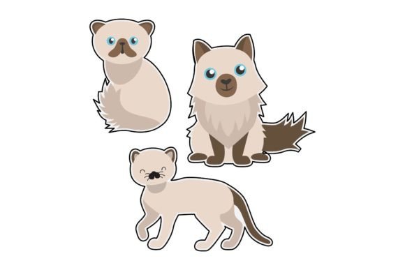 Cat Sticker Funny: A Designer’s Honest Take for Real Embroidery Use
