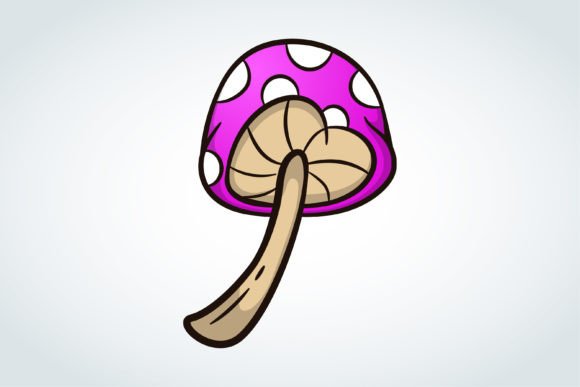Heart Mushroom Illustration: A Designer’s Real-World Review